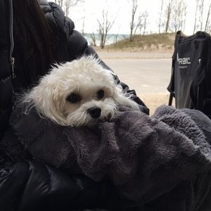 Meet your Posher, Sham